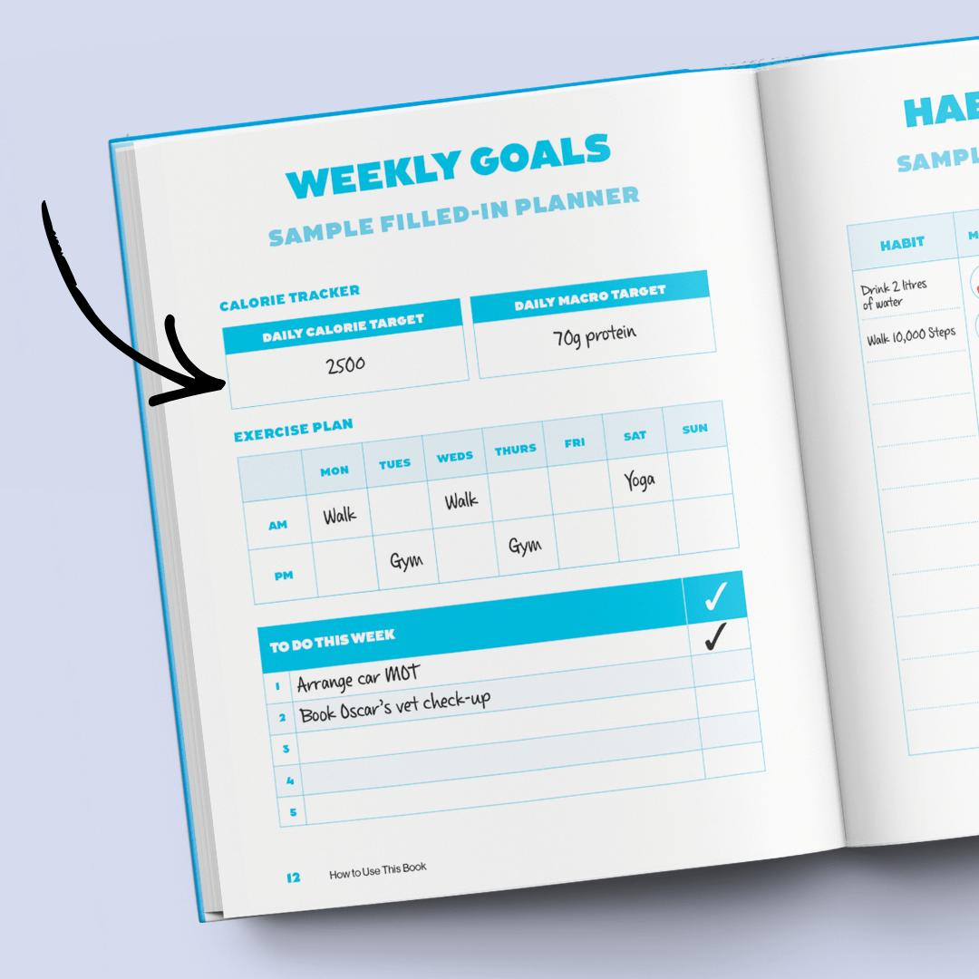 bored of lunch calorie tracker